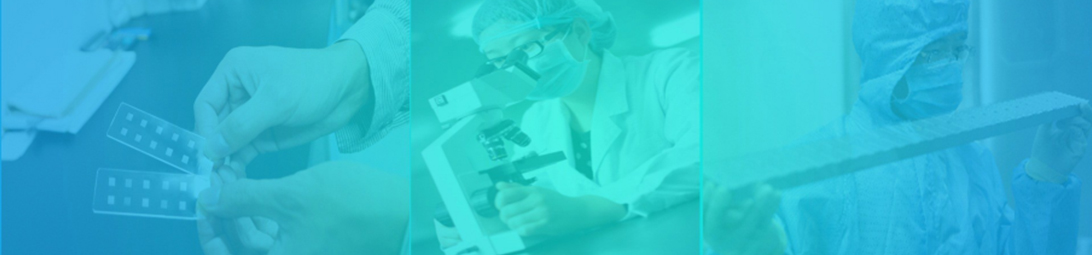 ʮ�������������������������